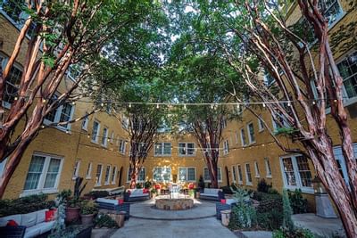 A courtyard area surrounded by trees at Artmore Hotel