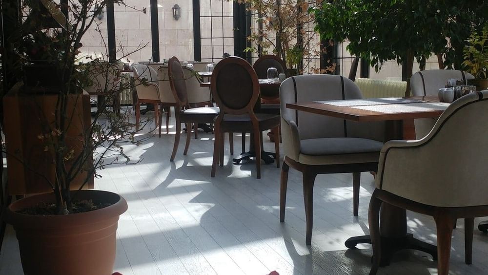 Potted plants by chairs surrounding dining tables under a glass sunroom in Maple Tree Restaurant at Warwick Ankara