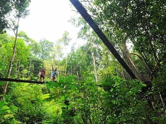 Places of Interest - Penang National Park