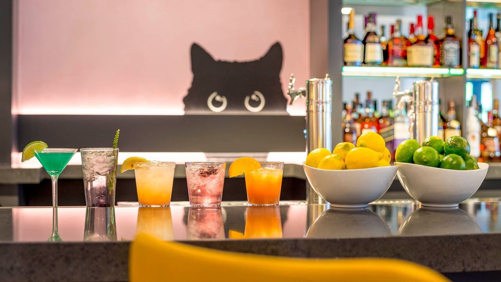Bar counter with a variety of drinks served in Gattara Restaurant at Warwick Denver