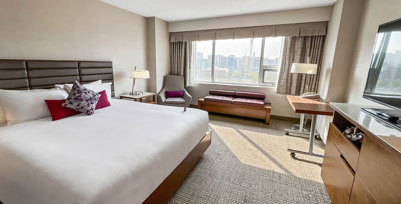 Hotel room with bed, couch, TV, and a view