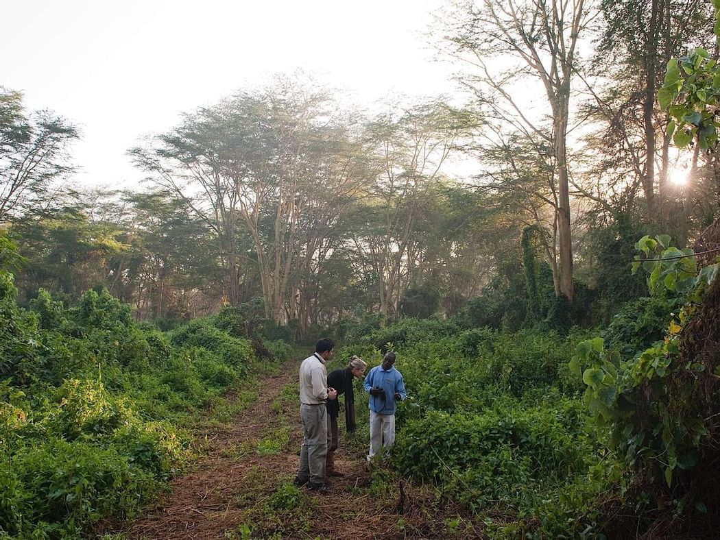 Walks in Ramsar and Heritage Sites near Hotel Lake Elmenteita