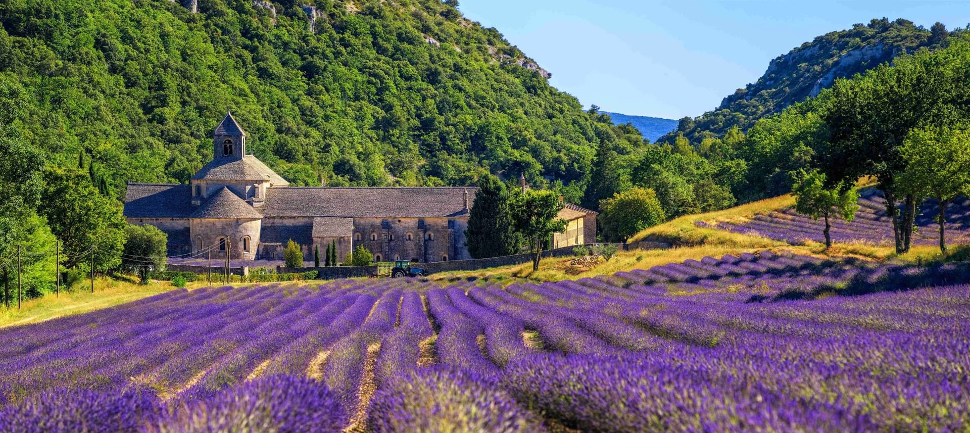 Historical Sénanque Abbey in Gordes with rows of vibrant lavender fields and wooded hills near Residhotel Pont du Gard