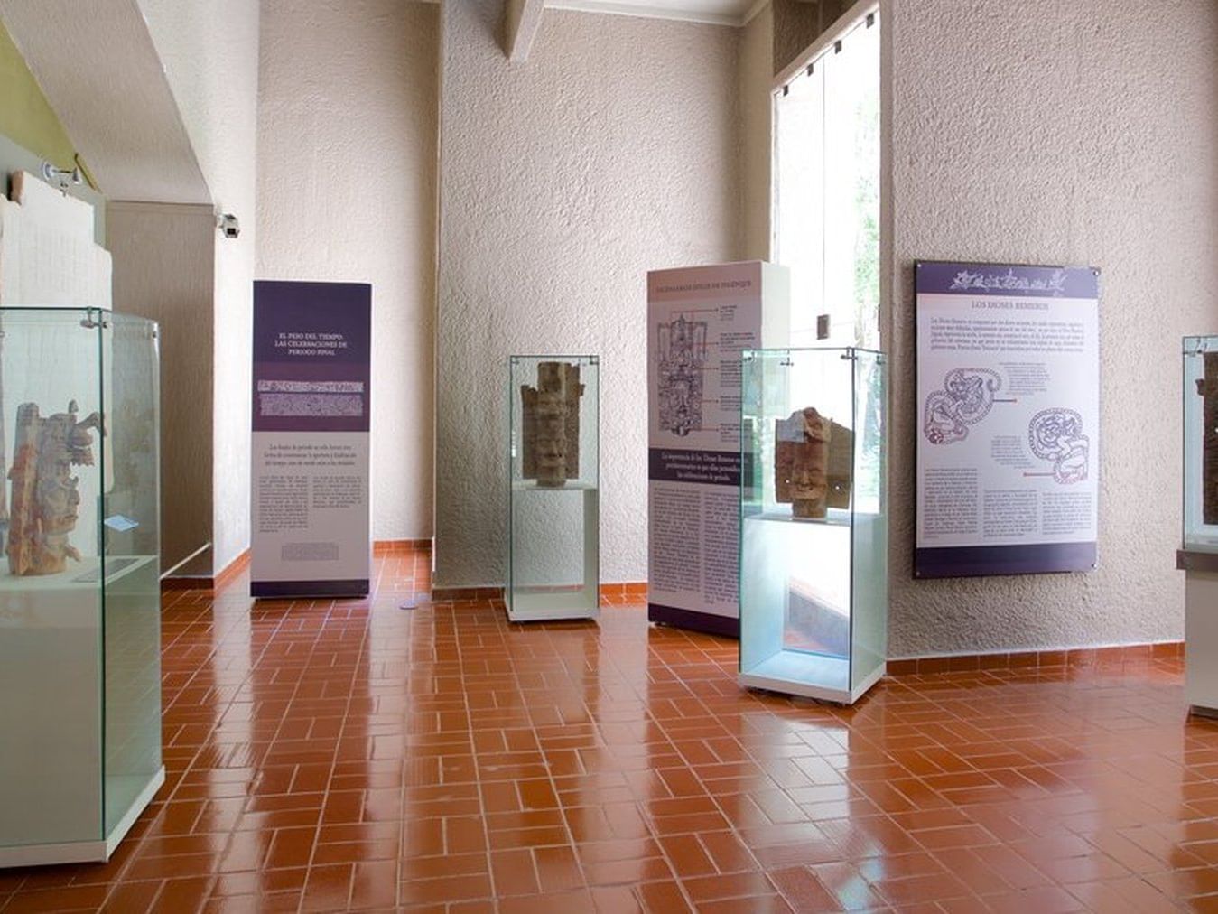 exhibits at a museum