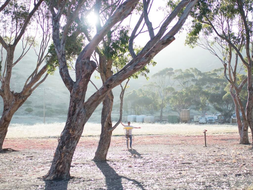 Man siting on a chair by trees in a ground at Catalina Island Company