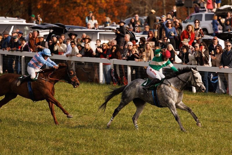 Hose riding race take place in a ground while people watching near the Inn at Willow Grove