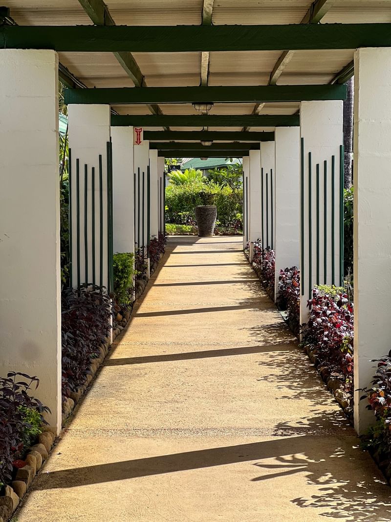 Covered walkway with green-trimmed posts and garden plants at Tokatoka Resort in Nadi.