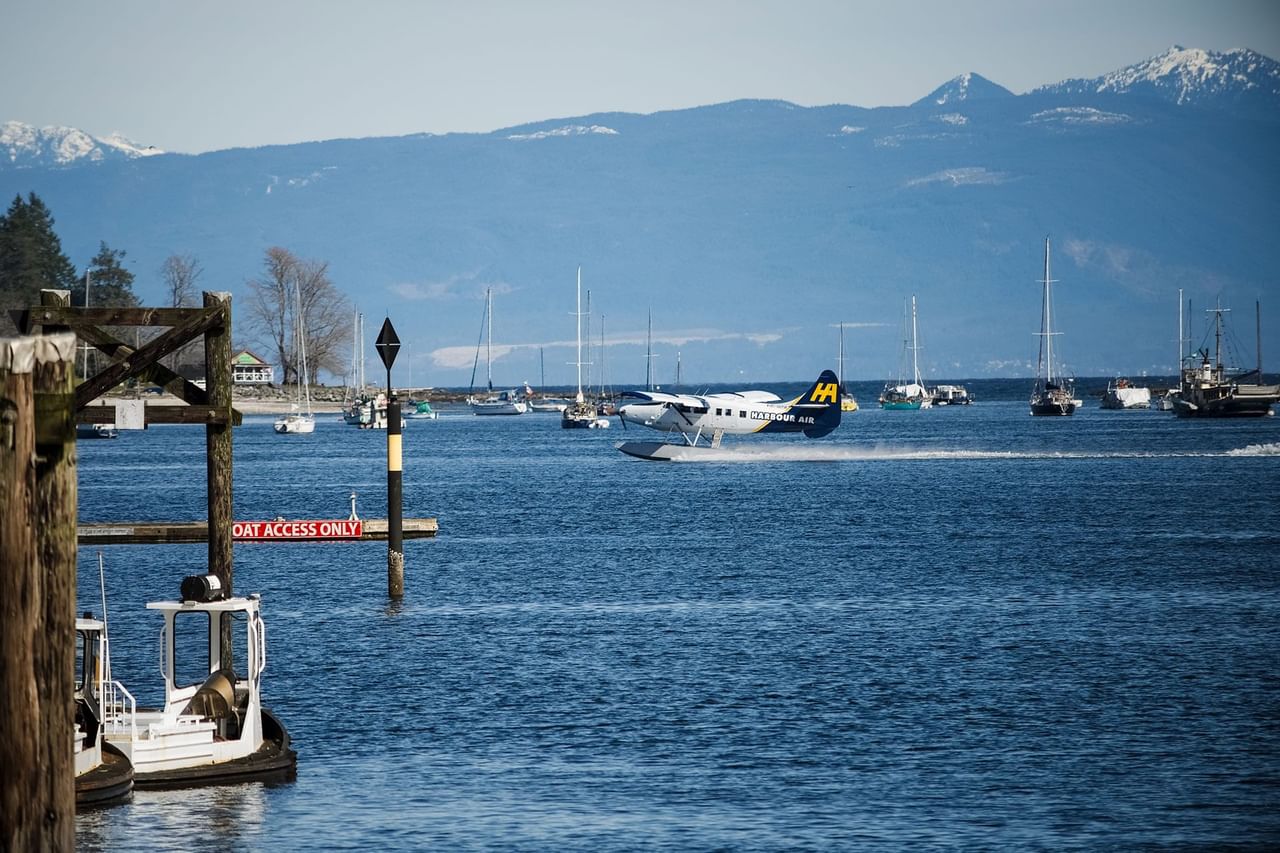 Marina View with Seaplane landing on water