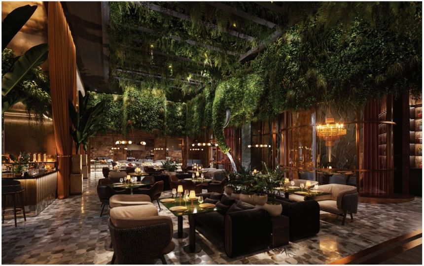 Bar & dining area of a restaurant in Dream Doha Qatar