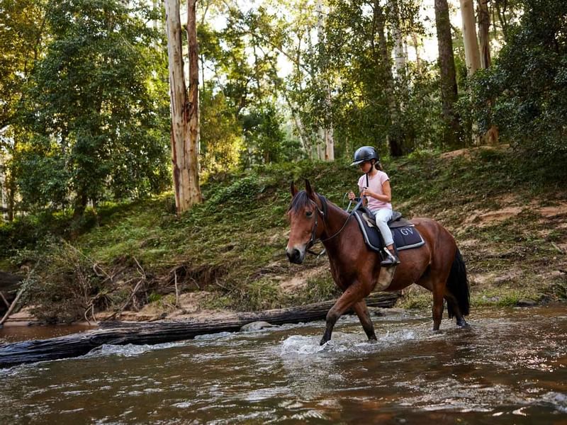 Person riding a horse through a stream at Glenworth Valley Adventure Park near Mercure Kooindah Waters