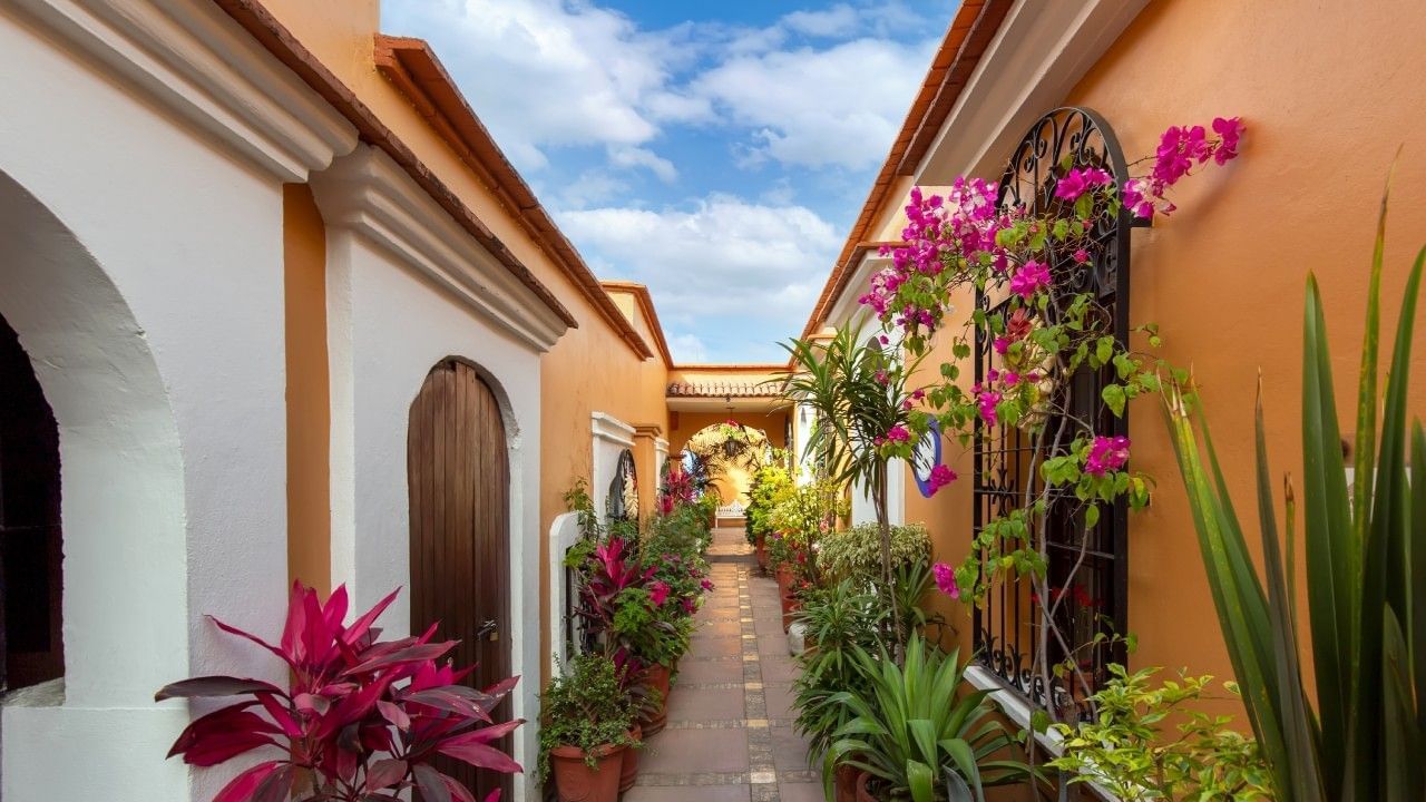 Potted plants by orange walls under a blue sky surrounding the walkway at Camino Real Pedregal Mexico