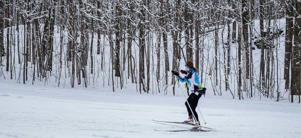 Cross-country skier gliding through a snow-covered forest.