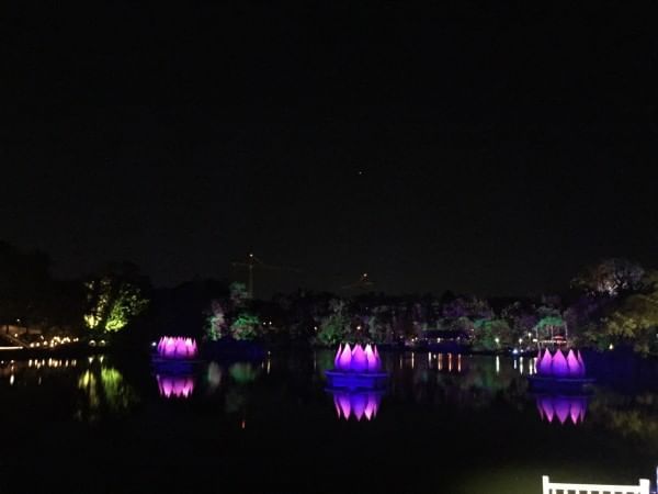 River of Lights at Animal Kingdom near Lake Buena Vista Resort Village & Spa