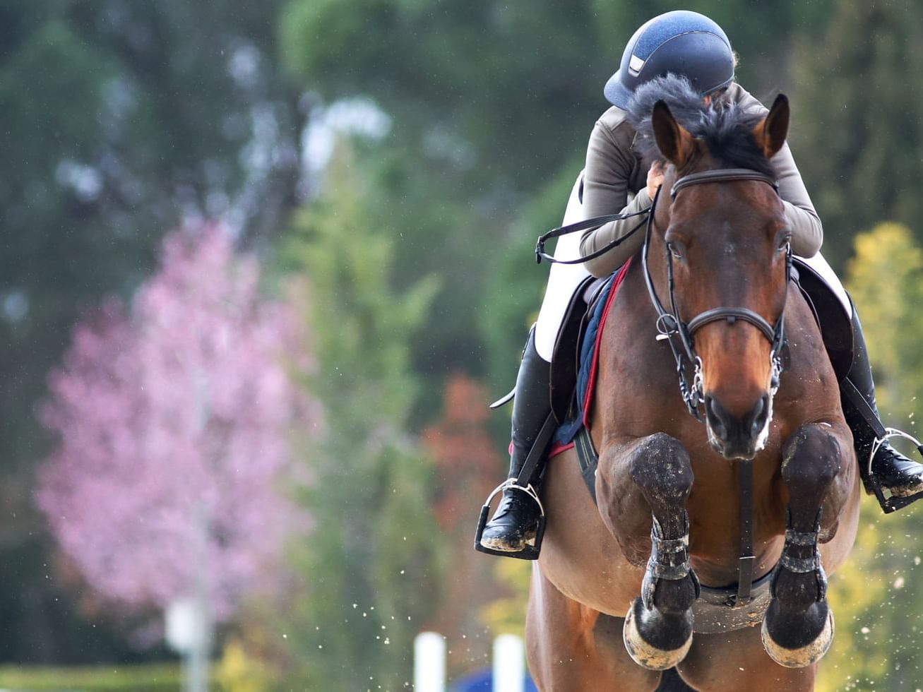 Fei european championship milano