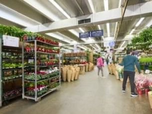 Inside the Original Los Angeles Flower Market with guests shopping various plants and flowers