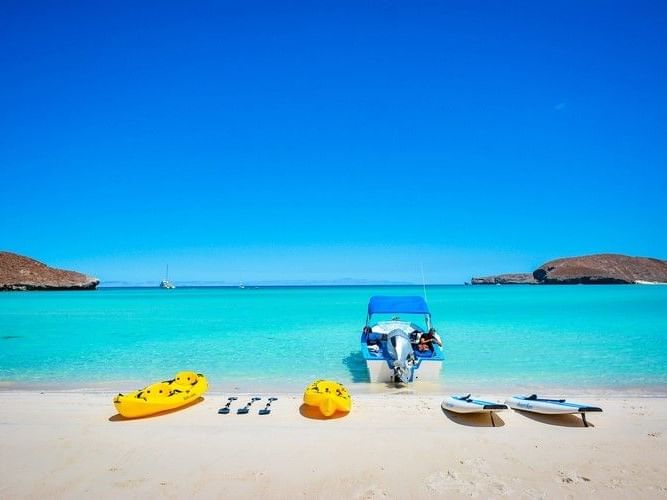 Kayak and paddleboards