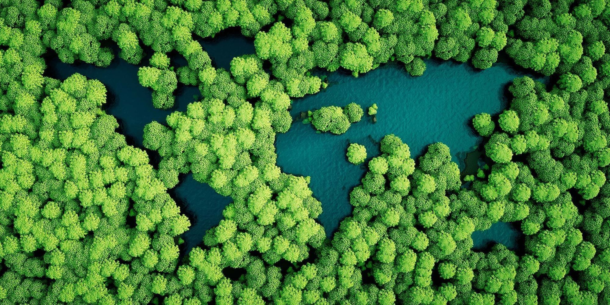 Aerial view of a world map shaped by green forest trees surrounding dark blue water near Warwick Geneva