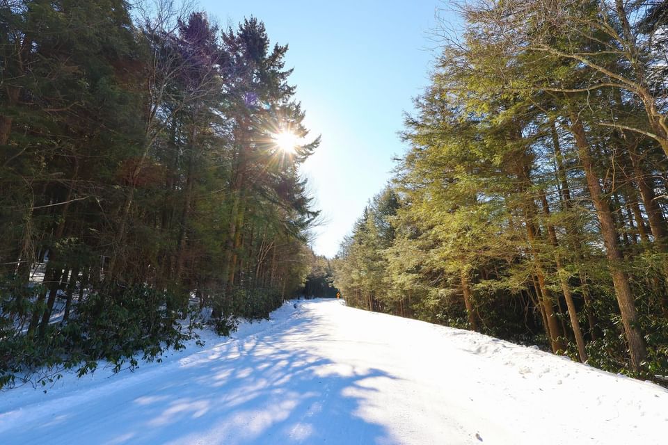 Snow-covered path in the woods near The Inn at Canaan