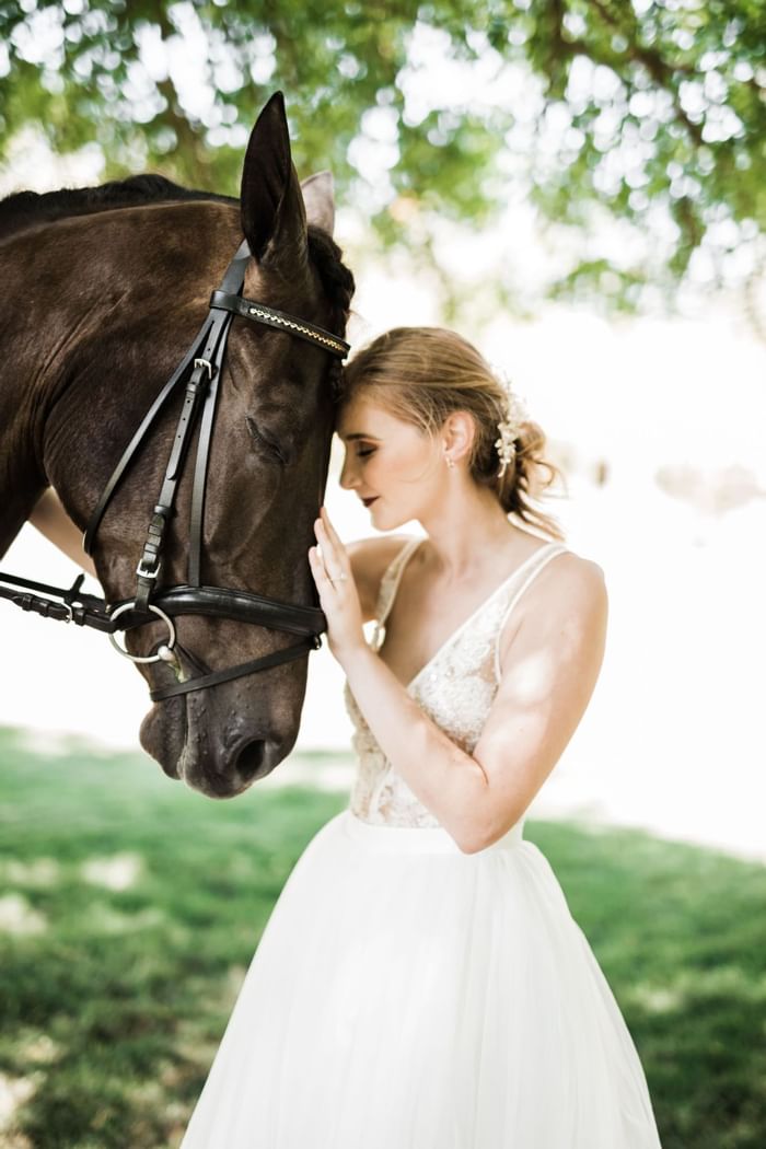 A bride & a brown horse head to head at Club Hemingway