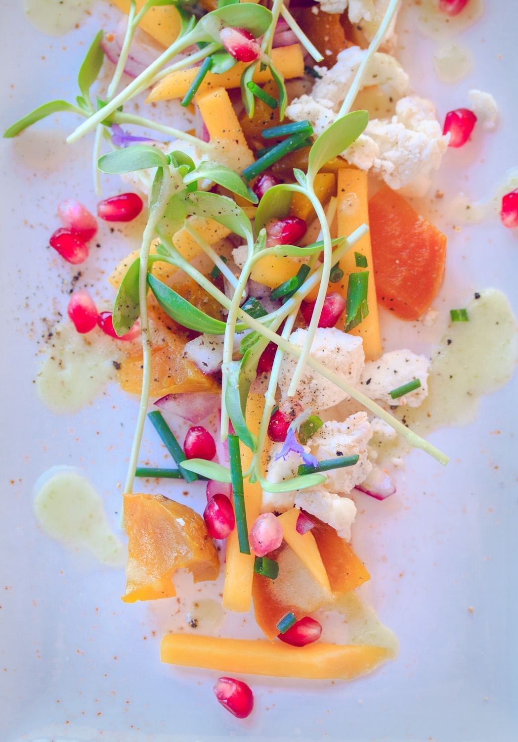 A fresh vibrant salad prepared at Cello Restaurant 