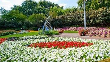 Roma Street Parklands at Pullman and Mercure King George Square Brisbane 