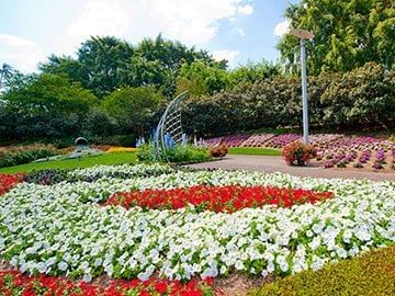Roma Street Parklands at Pullman and Mercure King George Square Brisbane