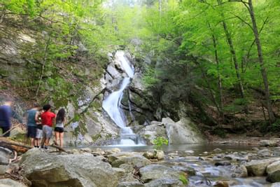People admiring waterfall in woods near Honor’s Haven Retreat