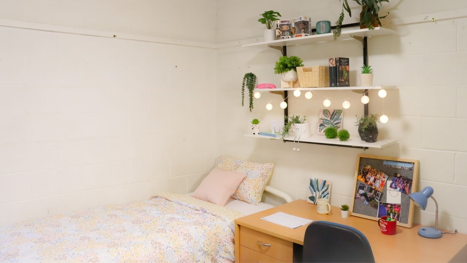 Cozy single room with desk and shelving at La Trobe University Units.