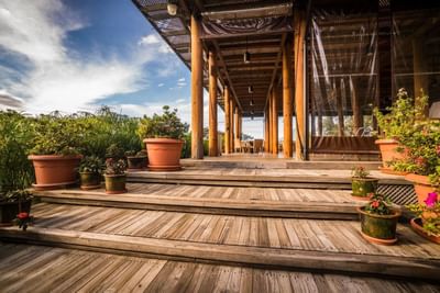 Plants on wooden deck with sky view by the dining area in El Mirador Snack Bar at Porta Hotel del Lago