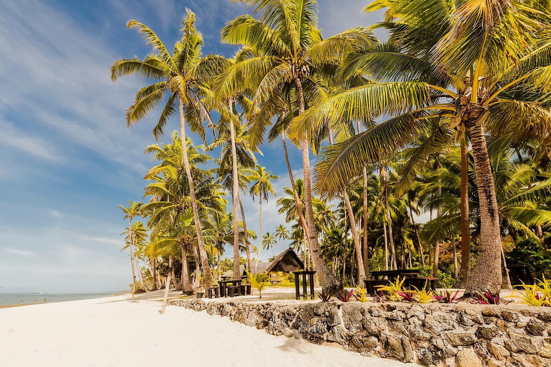 Tropical beach with wooden tables and chairs by a stone wall under leaning palm trees at Tambua Sands Beach Resort