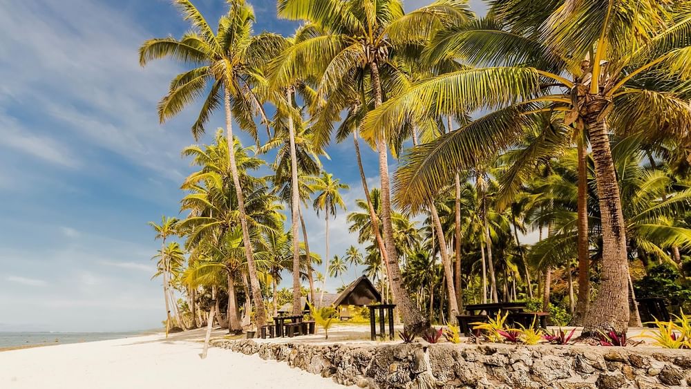 Tropical beach with wooden tables and chairs by a stone wall under leaning palm trees at Tambua Sands Beach Resort