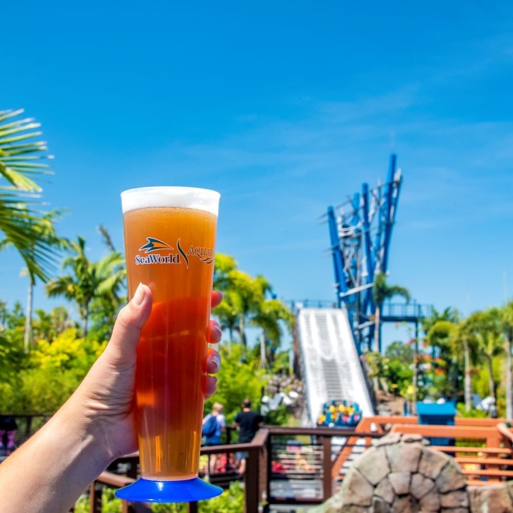 A hand holds a tall pint of beer with the SeaWorld logo in front of a water ride with a drop and palm trees in the background.