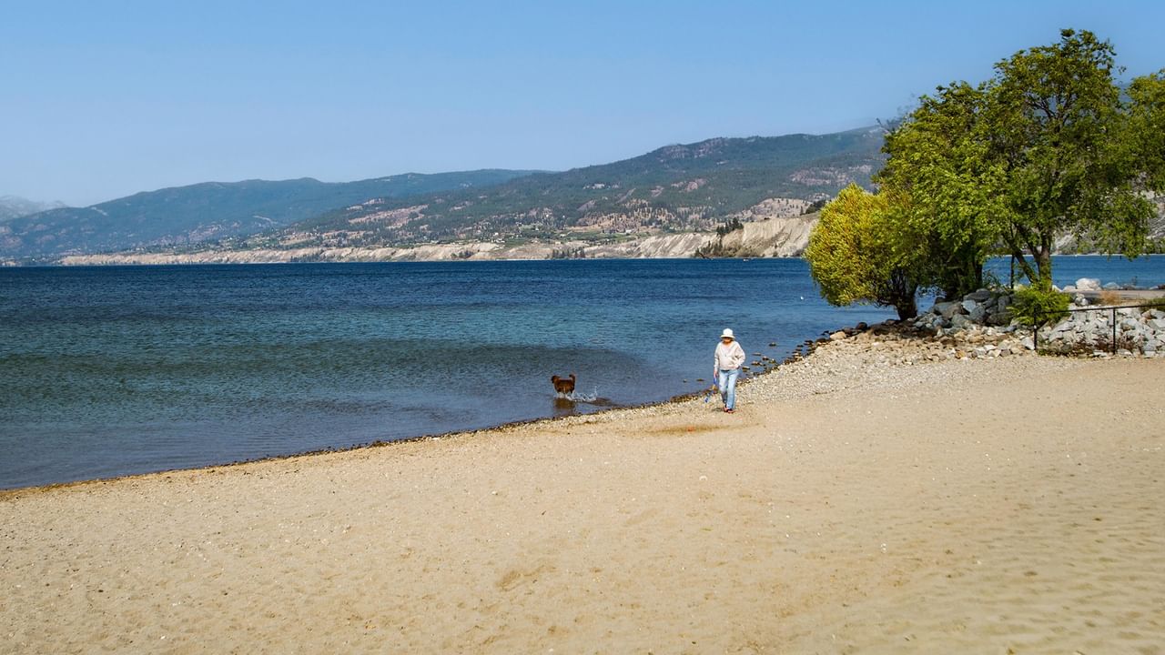 Person in white hat walking a brown dog on a sandy beach by a calm lake.