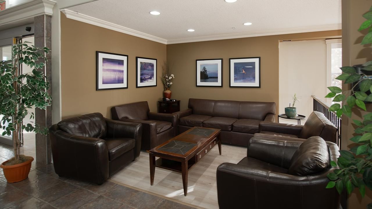 Spacious hotel lobby with brown leather sofas, framed artwork, and potted plants at Coast Edson Hotel.