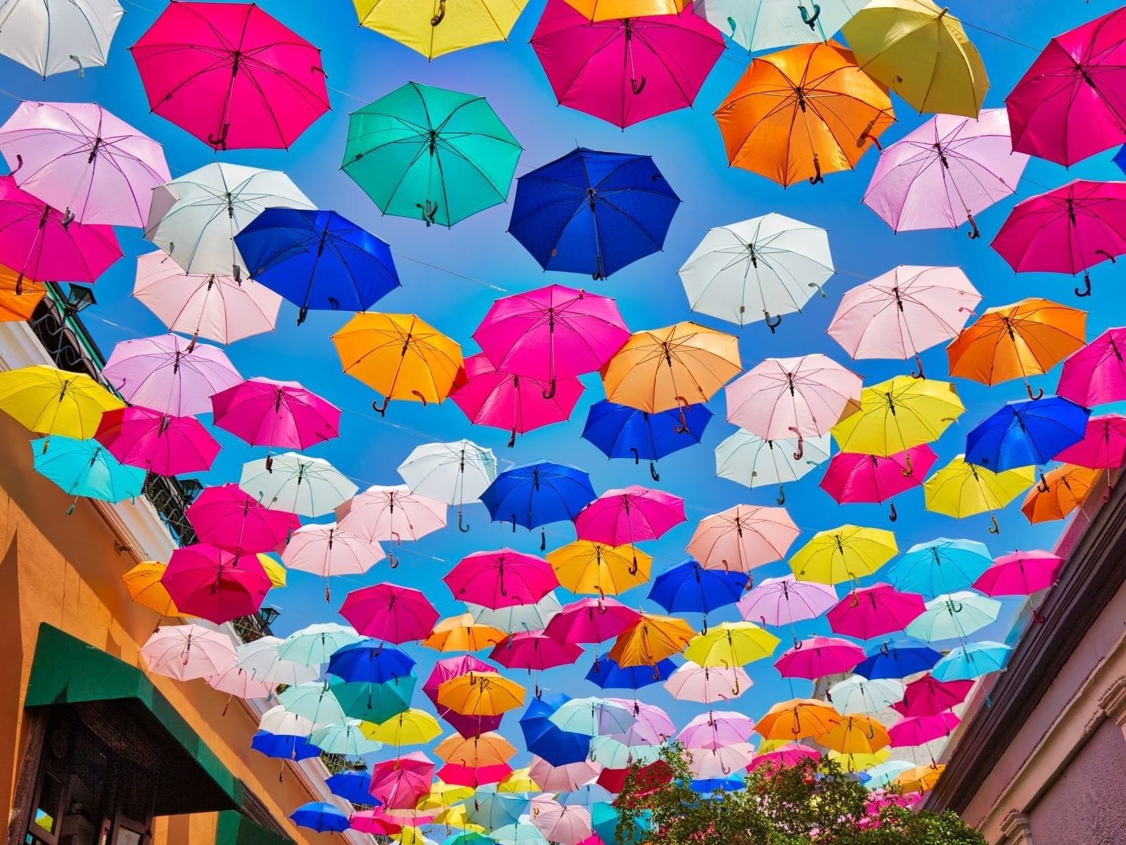 A street decorated with hanging umbrellas