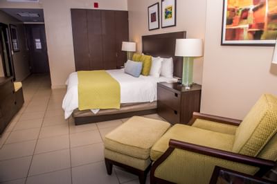 Cama Queen Deluxe
