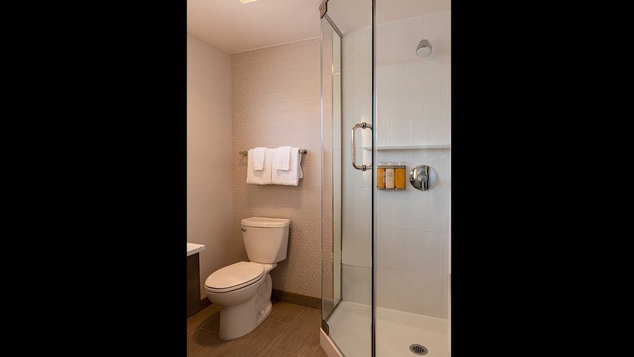 Coast King with Garden View - Bathroom