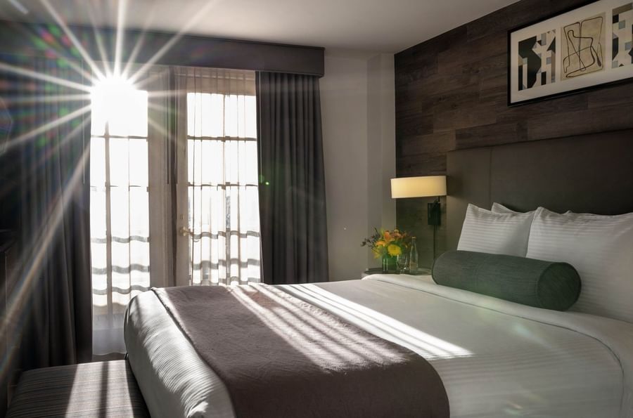 King bed by a side table under a wood-paneled wall in a sunlit room in Executive Suites at Warwick Denver