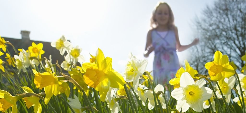 girl in flowers