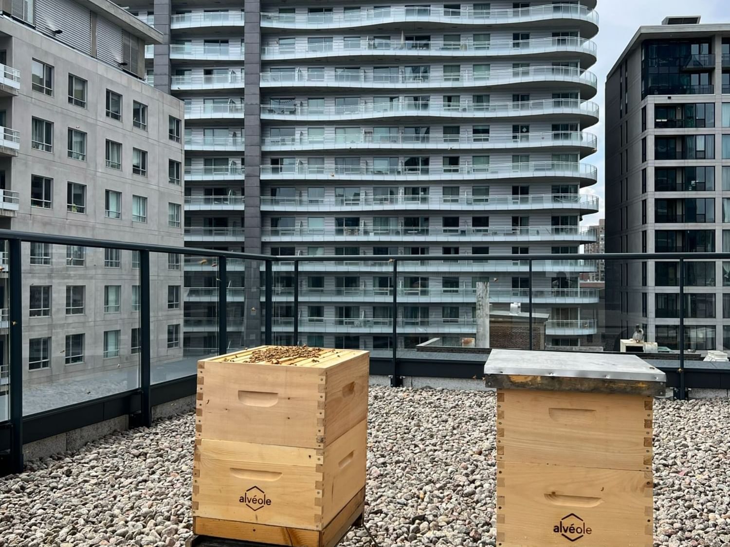 Alvéole Beehives on the rooftop at Honeyrose Hotel