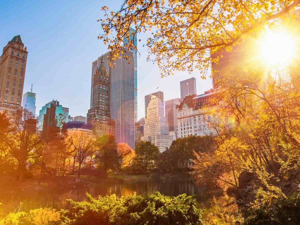 Best Things to Do and See in Fall in New York City - Moderne Hotel