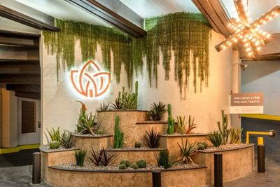 Parking area featuring a layered planter with succulents, and a sign for traffic instructions at The Riverwalk Plaza Hotel