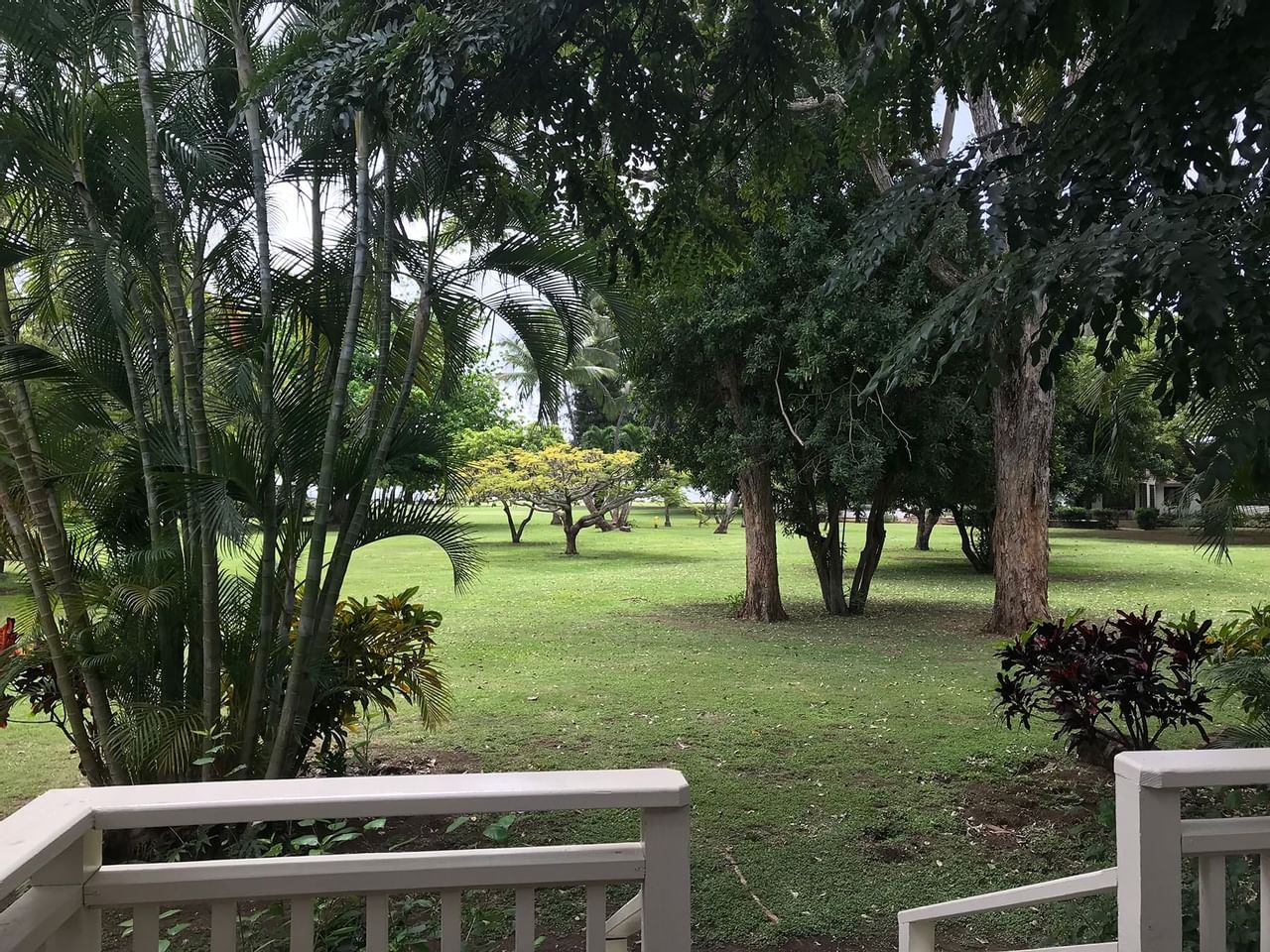 view from a cabin patio at Waimea Plantation Cottages