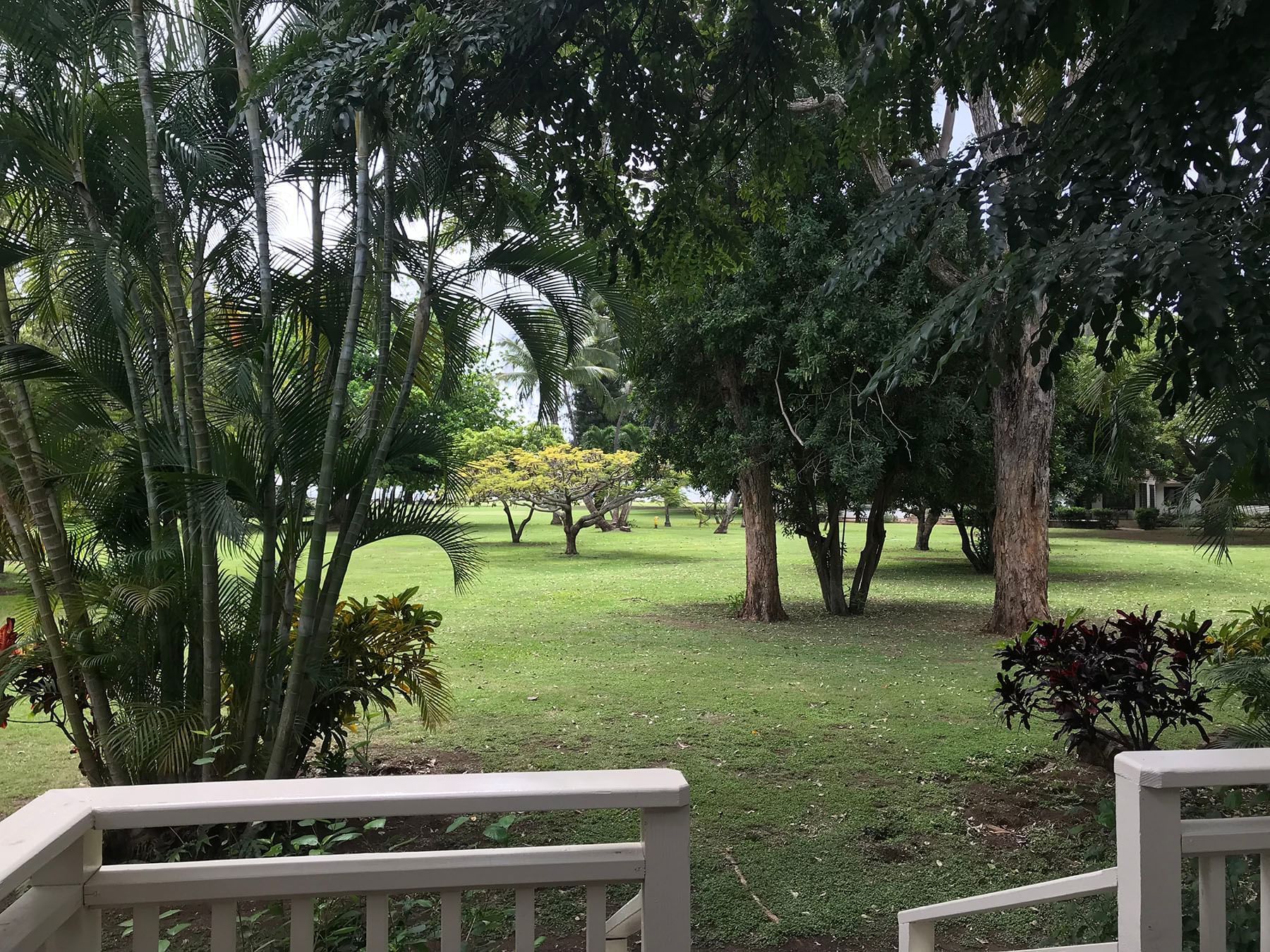 view from a cabin patio at Waimea Plantation Cottages