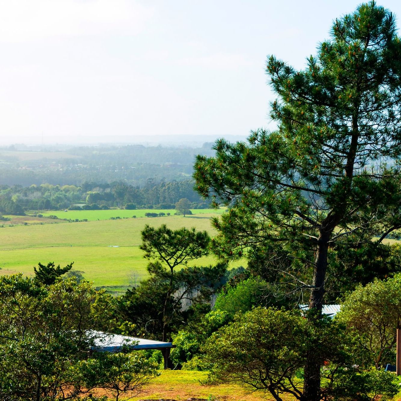 Landscape view of the fields from Las Cumbres Boutique 