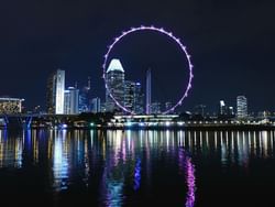 View of Singapore Flyer near Paradox Singapore Merchant Court