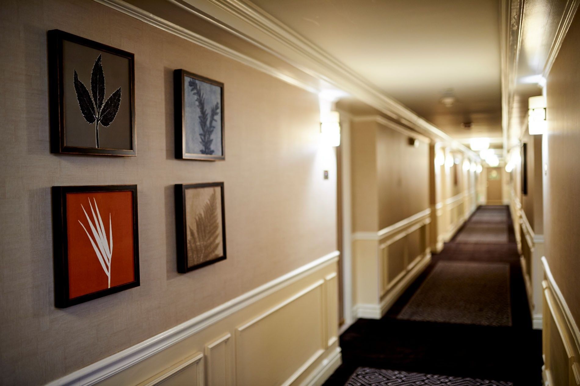 Long hallway with four framed botanical prints by a wainscoted wall near many doors at Warwick Denver