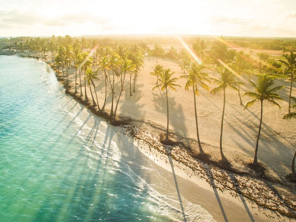 Aerial view of the coastline in Punta Cana at La Colección