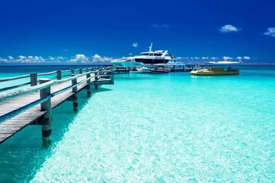 Yachts & boats stopped at the deck near Heron Island Resort