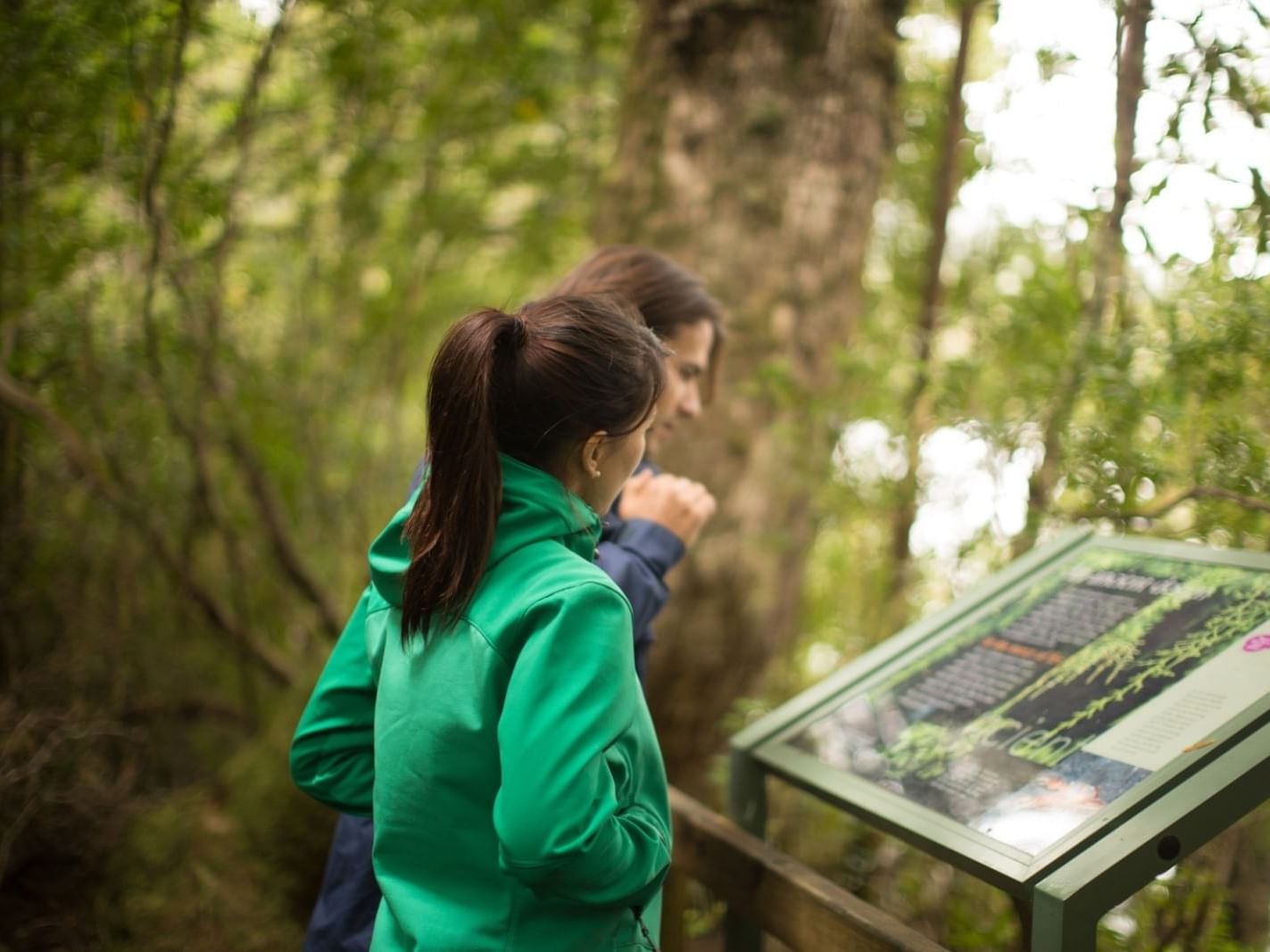 Couple reading Huon Pine Story board near the Strahan Village